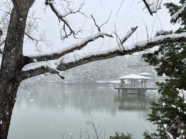 画像の説明 画像の説明