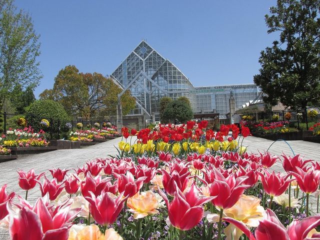 画像の説明 画像の説明